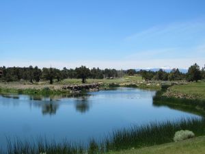 Pronghorn (Fazio) 1st