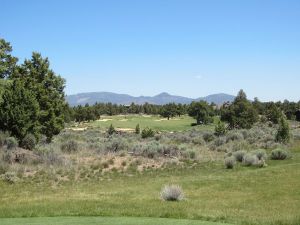 Pronghorn (Fazio) 5th