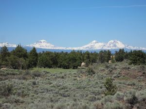 Pronghorn (Nicklaus) 15th Sage