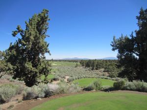 Pronghorn (Nicklaus) 8th