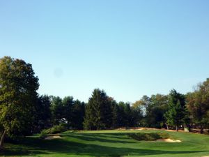 Merion 3rd Tree