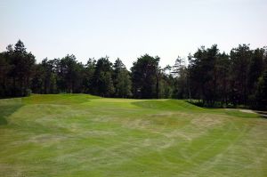 Crowbush 1st Fairway