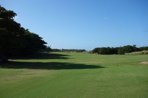 Royal Isabela 10th Fairway