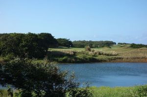 Royal Isabela 11th