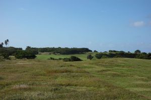 Royal Isabela 12th Tips