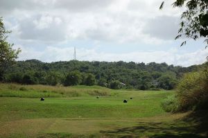 Royal Isabela 2nd