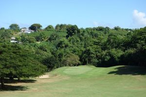 Royal Isabela 3rd Green