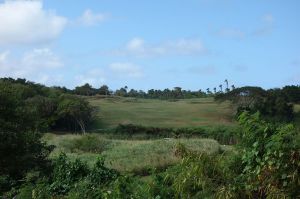 Royal Isabela 6th