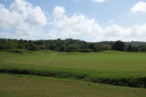 Royal Isabela 7th Fairway