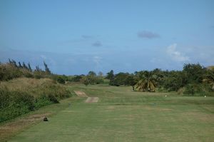 Royal Isabela 8th