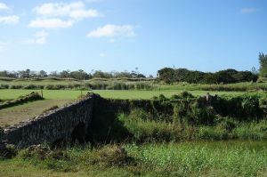 Royal Isabela 9th Green