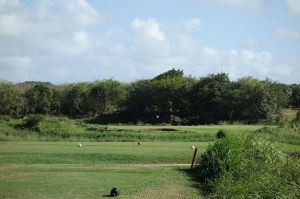 Royal Isabela 9th