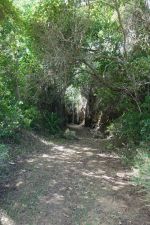 Royal Isabela Train Tunnel