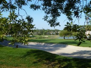 Dunes Golf And Beach 11th Tree