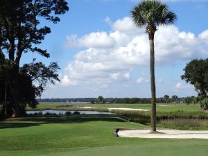 Harbour Town 17th Tree