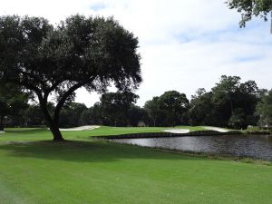 Kiawah Island (Cougar Point) 15th Tree