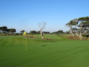 Kiawah Island (Ocean) 3rd Back