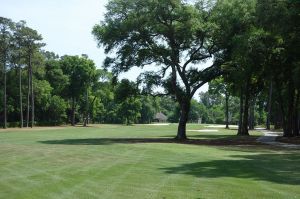 Tidewater 11th Fairway