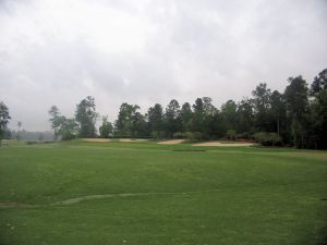 Augusta Pines 2nd Green