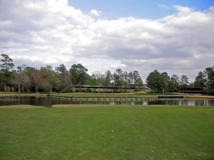 Woodlands (East) 13th Island Green