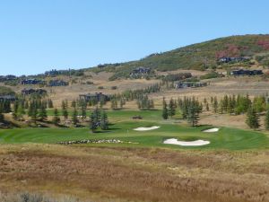 Glenwild 11th Fescue