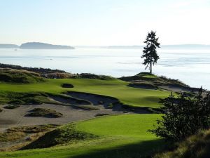 Chambers Bay 15th Bush