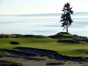 Chambers Bay 15th Green