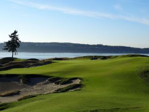 Chambers Bay 3rd Tree