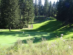 Gold Mountain (Cascade) 17th Back