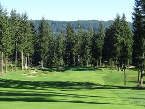 Gold Mountain (Olympic) 6th Fairway