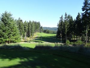 Gold Mountain (Olympic) 6th Tee