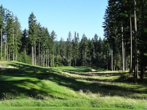 Gold Mountain (Olympic) 8th Tee