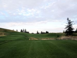 Palouse Ridge 1st