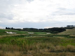 Palouse Ridge 7th Fescue