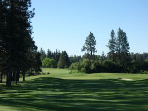 Qualchan 8th Fairway 2017