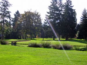 Sahalee 8th Green