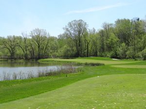 Bull At Pinehurst Farms 15th