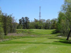 Bull At Pinehurst Farms 16th