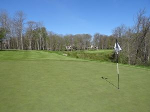 Bull At Pinehurst Farms 5th Back