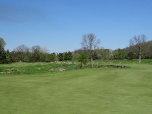 Bull At Pinehurst Farms 8th Fairway