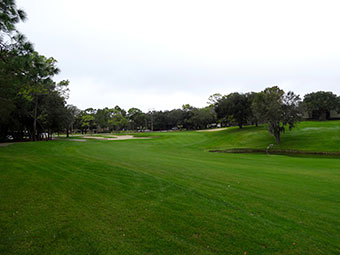 Innisbrook Resort (Copperhead) 14th