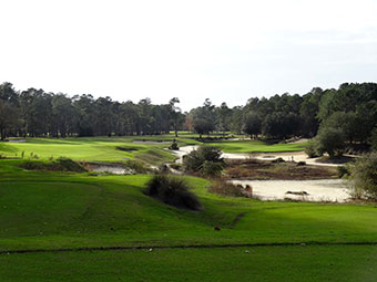 World Woods (Pine Barrens) 15th