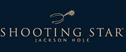 Shooting Star logo